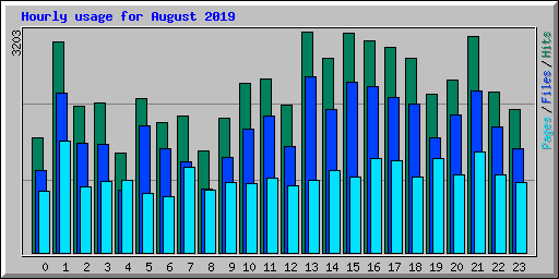 Hourly usage for August 2019