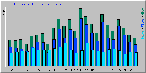 Hourly usage for January 2020